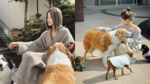 中國大陸當紅女星趙露思